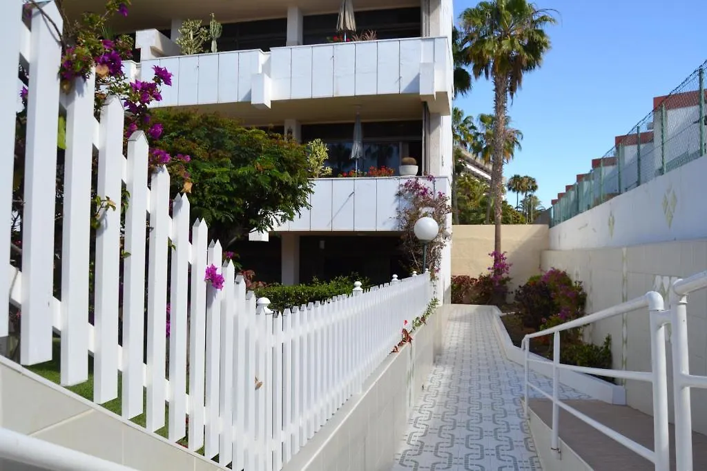 Apartamentos Don Quijote Playa del Ingles  Playa del Ingles (Gran Canaria)